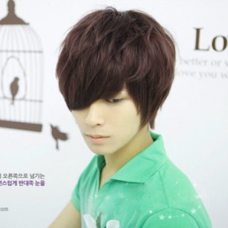 OUKIN Mens Boys New Korean Style Short Straight Wig Brown Color