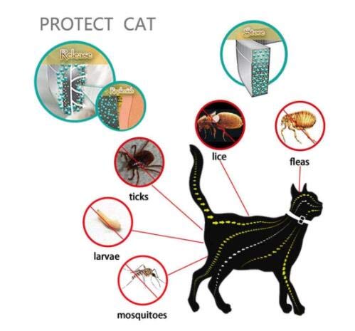 Zwini-Collier-Anti-puces-et-Anti-tiques-pour-Collier-Anti-puces-pour-Chat-Naturel-avec-Protection-de-Chat-de-8-Mois