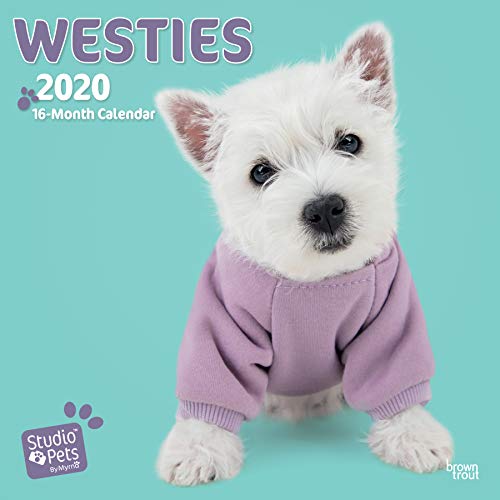 Télécharger Westies 2020 Square Wall Calendar PDF Ebook En Ligne