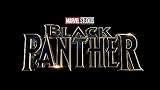 Marvel's Black Panther