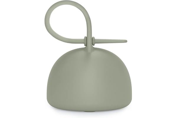 Suavinex, Boîte à Sucettes en Silicone Soft et Flexible, avec Capacité pour 2 Tétines, Pochette avec Anse Flexible, Colour Essence, Vert