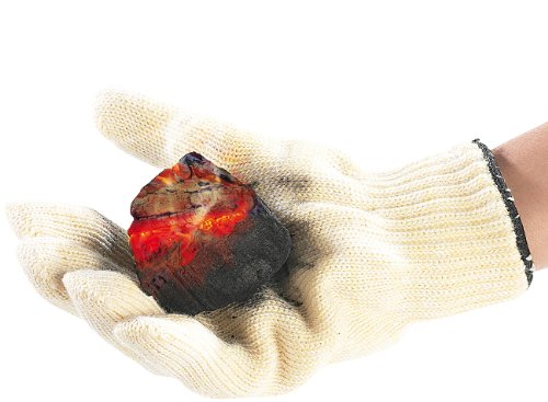 Rosenstein & Söhne Hitzebeständiger Grillhandschuh bis 250 °C - 4