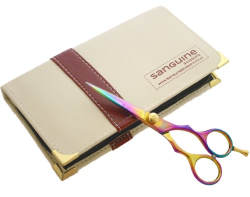 Titanium Hairdressing Scissors, Hair Scissor for Salon or Personal use with Case
