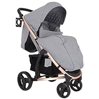 hamilton turnberry double buggy