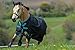 Produktbild Horseware Amigo Hero Acy Lite Disc Turnout Rug 145cm Black/Teal/Dark Cherry
