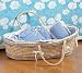 Burton & Burton Burton And Burton Moses Bassinet - Boy 978935