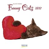Funny Cats 2017: Broschürenkalender mit Ferienterminen by