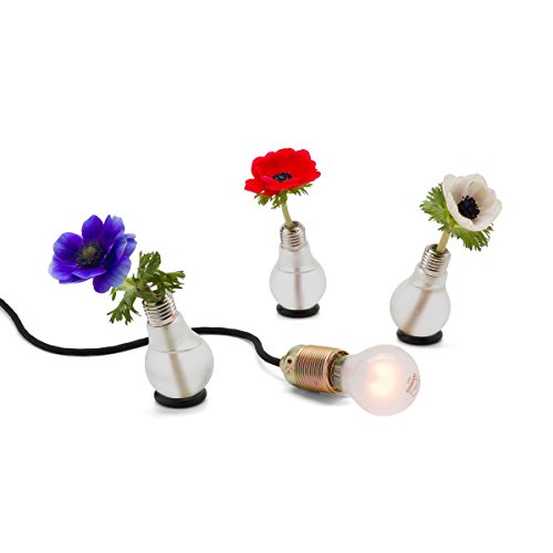 Blühbirne – Glühbirnenvase - 5