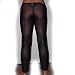 Produktbild Sheer Pants stark transparent. Extra erotisch