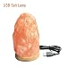 Produktbild Therapeutische Natürliche Himalaya-Salz-Lampe Small Natural USB Multi