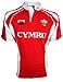 [Welsh Print, 0 - 6 Months] BABY BOYS KIDS WELSH CYMRU WALES HACKER GRANDAD COLLAR RUGBY CASUAL T-SHIRT