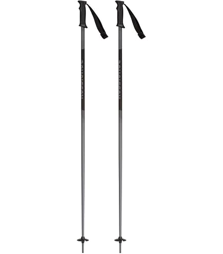 Bastoncini Sci LEKI Unisex - Alluminio HTS 6.5 Con Sistema Trigger - Foto 1