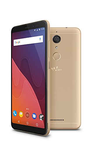 Wiko View 14,47 cm (5,7 Zoll) Smartphone (13MP Kamera, 32 GB internen Speicher, 3GB RAM, Dual-SIM, Fingerprint, Android 7.1 Nougat) gold