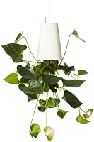 Boskke Sky Planter Recycled Medium, wei&szlig;