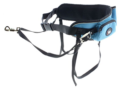 Preisvergleich Produktbild Laisse chien - Ceinture CaniCross Bleu / Gris