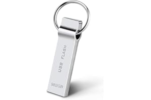 APIEMO USB Stick 982GB Speicherstick 982GB USB 3.0 wasserdichte Metall USB Flash Laufwerk mit Schlüsselring für Laptop/PC/Computer Datenspeicher