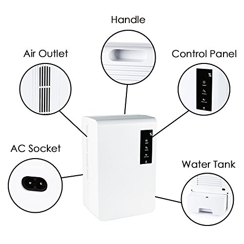 [Luftentfeuchter] LAGUTE Tragbarer Luftentfeuchter, 3000ml Wassertank, Feuchtigkeit 1500ml/24h, mit Hygrometer und Halbleiter (Leise, Weiß) - 7