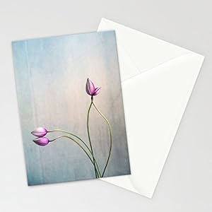 Design Fotokunst Postkarte Claudia Drossert