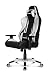 Produktbild Akracing Gaming Stuhl PREMIUM silber/schwarz V2