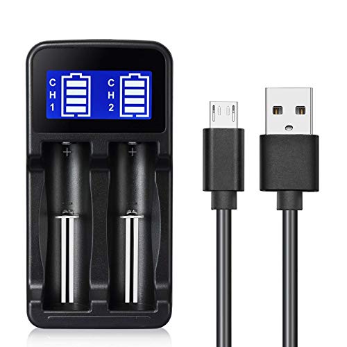 BESTSUN Universelle Chargeur intelligent Double-Channel automatique rapide Batterie rechargeable Chargeur Recharger USB pour 1.2V / AA AAA et 3.7V / 18650, 18500, 17650, 16340, 14500, 10500 batteries