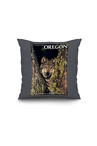 Denali National Park, Alaska - Starry Night (20x20 Spun Polyester Pillow Case, Custom Border)