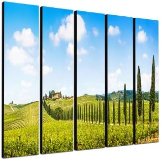 Vineyard Vines Tuscany 5 x 30 x 120 cm XXL Extra Large 5 Teiliges Mural Painting On Canvas and Stretcher Frame Ready To Hang Up - Our Pictures On Canvas Feature Unusual and Extremely Detailed from Up To 100 Megapixel High-Resolution Photos Print.
