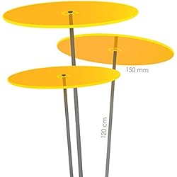 Cazador-del-sol ® | medio | trois | jaune