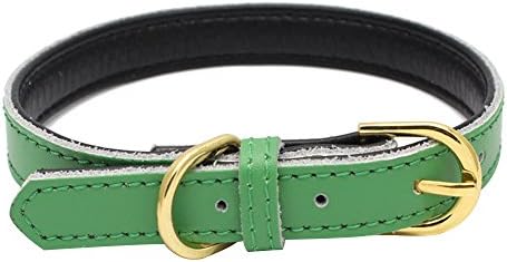 Pingxia Classic Padded Pet Collars Handmade for Puppy Small Medium Dogs with The Finest Genuine Leather(S / Green)