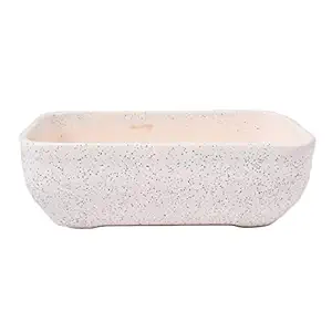 Lasaki Rectangle Ceramic Pots for Indoor Plants,Planters,Flower pots,gamla Outdoor,Succulent Pot.(Color: White)(L: 23.5 cm, W: 14 cm, H: 8 cm)(Rec002)