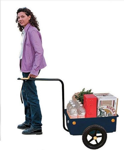 Fahrradanhänger TRAILER schwarz NEU 69 kg belastbar 40 Liter Box - 2