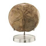 versteinerte seeigel rügen Das edle Sammlerstück ist zwischen 7 und 10 cm groß und wird sicher gepolstert in einer chicen und hochwertigen Kollektionsbox geliefert. Ebenso im Lieferumfang liegt ein speziell für die Sammlung gefertigter Plexiglas-Aufsteller mit verstellbaren Armen, eine ausführliche Beschreibungskarte und ebenso ein Zertifikat, welches die Echtheit des Unikates bestätigt.