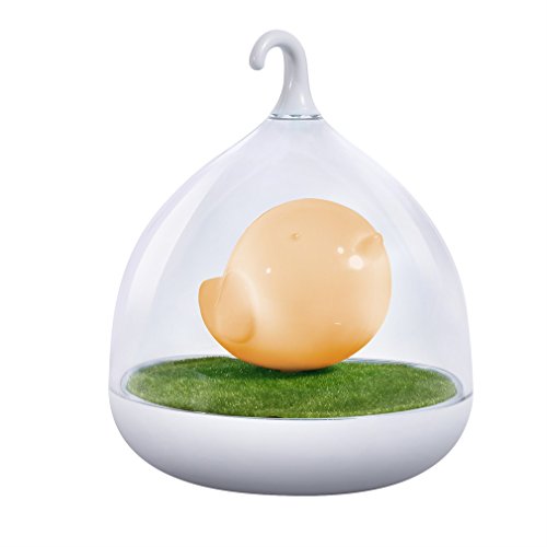 Preisvergleich Produktbild Nachtlicht Lampen ICOCO Nachttischlampe Niedlich Vögelkäfig Nachtlicht USB aufladbar LED-Lampe mit USB-Ladekabel für Baby Kinder