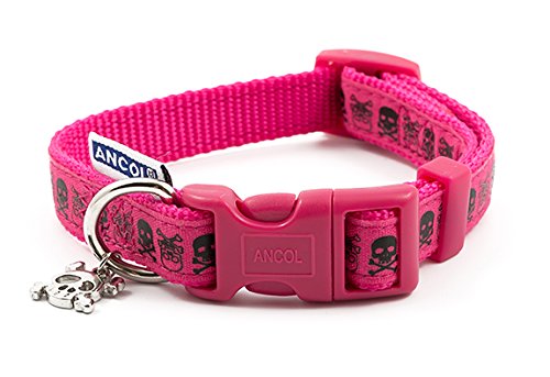 Ancol Skull Fashion Dog Collar 20 30 Cm Desertcart Seychelles