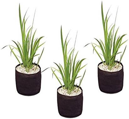 velda Planting Basket Round 15 x 15cm - 3 Pack
