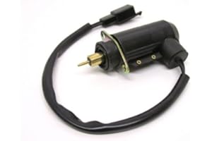 STREETPARTS24 E-Choke Kaltstartautomatik passend für Pegasus TGB Corona Sky 25 50 Roller – Startautomatik für Vergaser (30 mm)