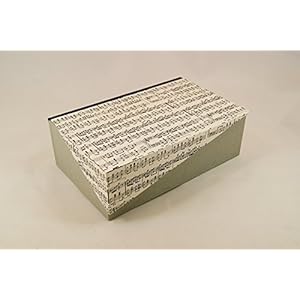 Kästchen mit Klappdeckel 26 x 16 x 8,5 cm