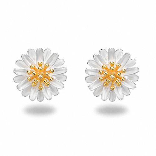 J.Vénus Pendientes de Plata, pendientes de las señoras Conjunto Básico de Plata Esterlina 925, Pendientes con la Caja