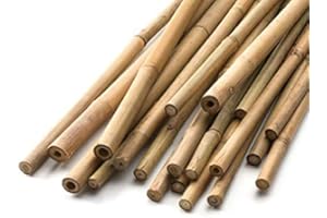 HomeZone Heavy Duty Bamboo Canes Plant Support - Strong, Durable and Long Lasting Garden Tall Plant Supports Bamboo Sticks for Tomato, Hollyhocks, Delphiniums Garden Accessory (10, 150cm)