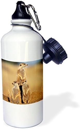 Statuear Meerkats Aluminum 20 Ounce 600ML Sports Water Bottle Gift