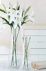 TIED RIBBONS Glass Vase (8 X 29 Cm, 7 X 16.5 Cm, Clear)