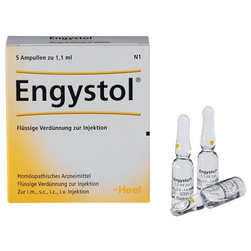 Preisvergleich Produktbild engystol ampullen vet. 5 St