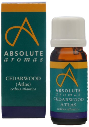 Absolute Aromas Cedarwood Atlas Essential Oil