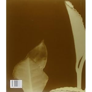 Il gusto del tè. Curiosità e ricette sulla bevanda più amata al mondo