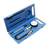 Der Messbereich des Manometers beträgt 0-20 bar (0-300 dpi)