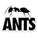 Produktbild Ants Ushuaia Ibiza: Groß Ant Logo-Aufkleber - Schwarz, Einheitsgröße