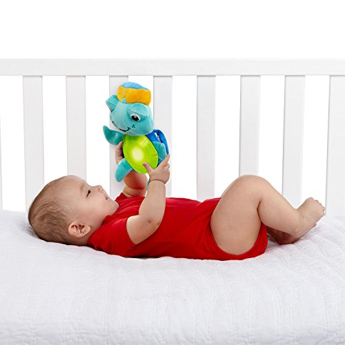 Baby Einstein 90649 Rhythm of the Reef Play Gym Spieldecke - 5