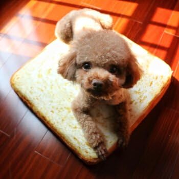 SHPET Pet dog cat cat mat cheesebread pad L46*50*33cm,L46*50*33cm,Cheese bread pad
