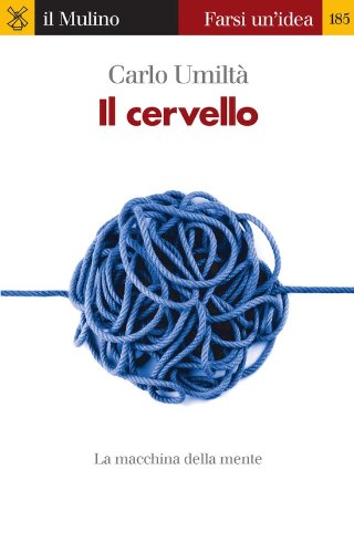Il cervello (Farsi un'idea Vol. 185) Il cervello (Farsi un'idea Vol. 185)