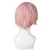 MapofBeauty Cosplay Costume Men's Short Straight Wig (Pink)