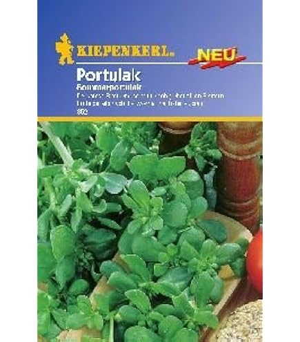 FLORTUS BIO Winterportulak Samen – Frosthartes Wildgemüse, 800 Korn, Für Garten, Balkon & Fensterbank